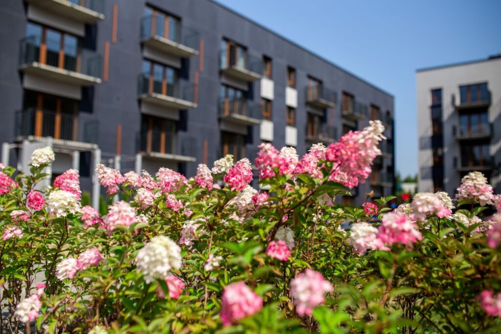 Riverland 2 etapas (Lazdynėlių g. 67, 69, 71, 73, 79, 81, 83) - Korterelamu - ehituse fotod