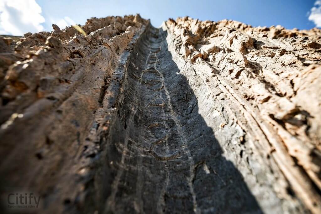 Laisvės kalva (Lukiškių a.) - Square - visualization
