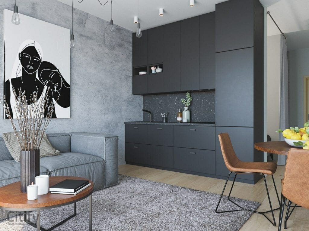 Student Box (Didlaukio g. 67A) - Multi apartment - visualization