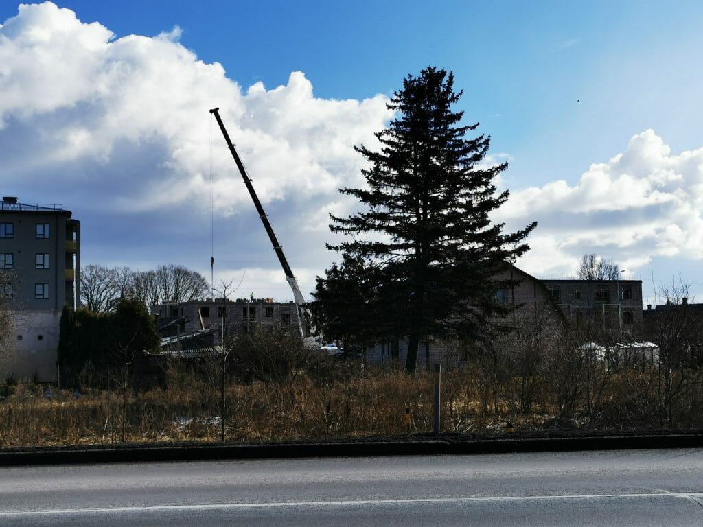 Dreilinga mājas - 1. kārta (Robežu iela) - Daugiabutis - statybų nuotraukos