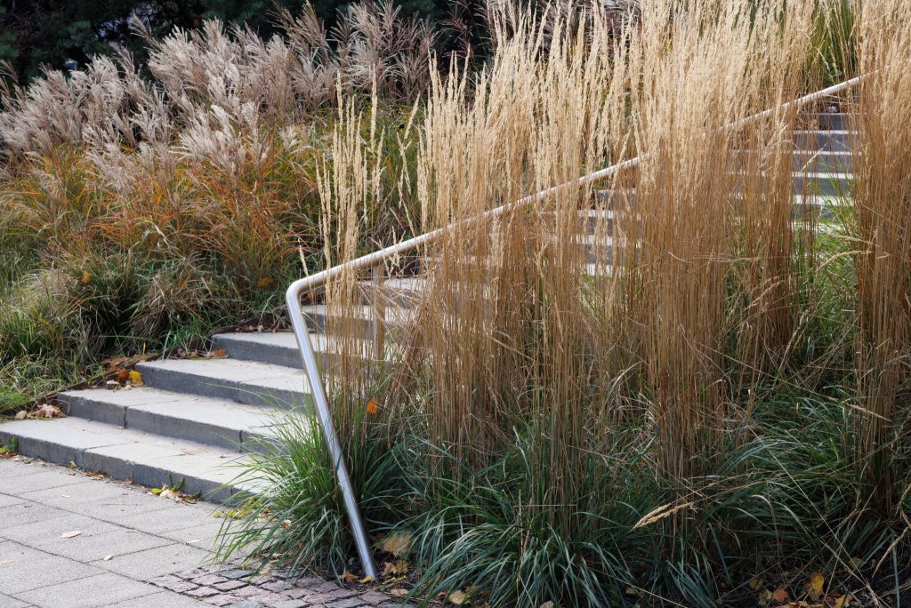 Dailes teātra skvēra labiekārtošana (Brīvības iela 75, Šarlotes iela 5) - Square - construction photos