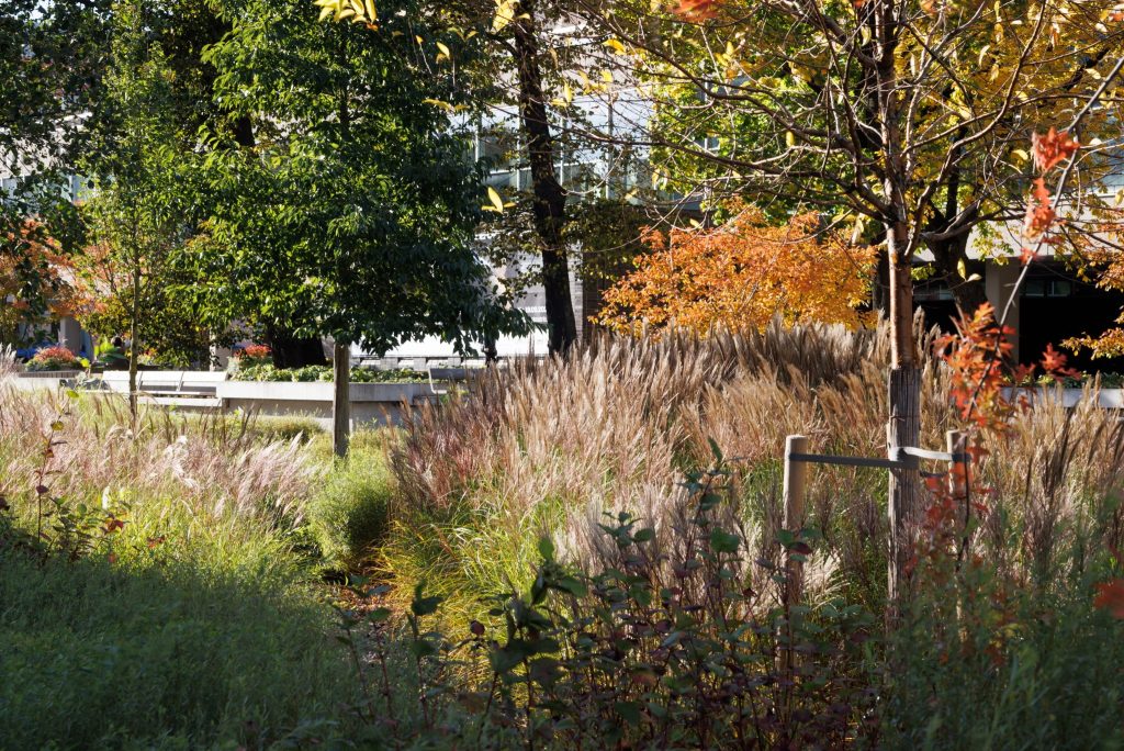 Dailes teātra skvēra labiekārtošana (Brīvības iela 75, Šarlotes iela 5) - Square - construction photos