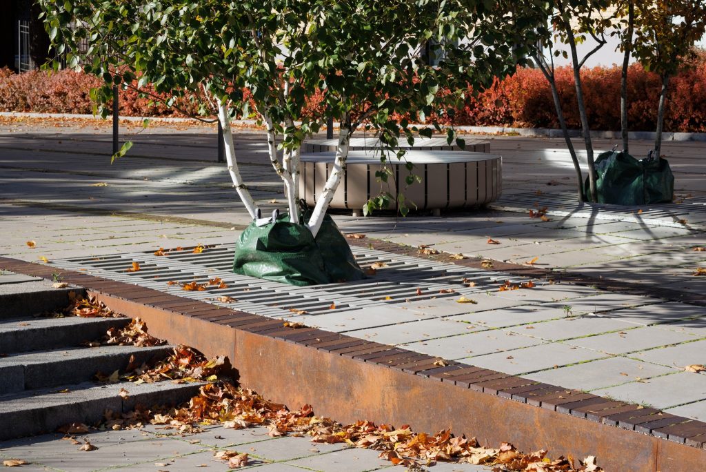 Dailes teātra skvēra labiekārtošana (Brīvības iela 75, Šarlotes iela 5) - Square - construction photos