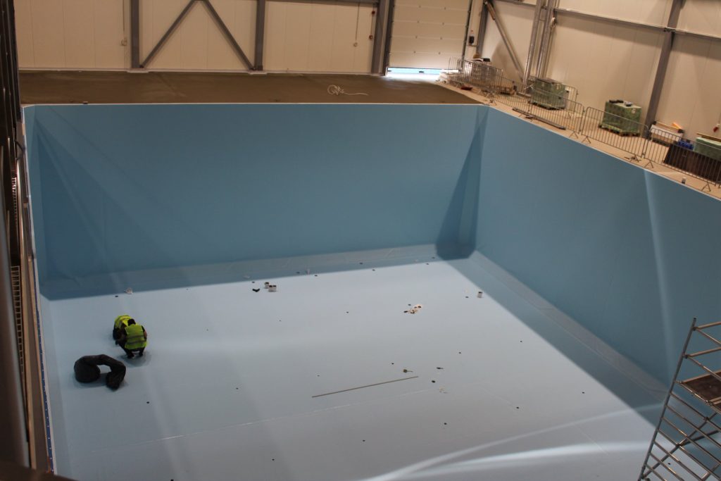 Novikontas Maritime College - 1-2. kārtas (Duntes iela 17D) - Kõrgkool, Ujula - ehituse fotod