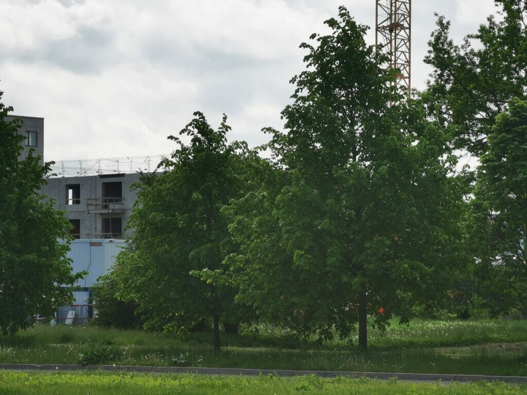 Silvas nami (Dzelzavas iela 110) - Multi apartment - construction photos