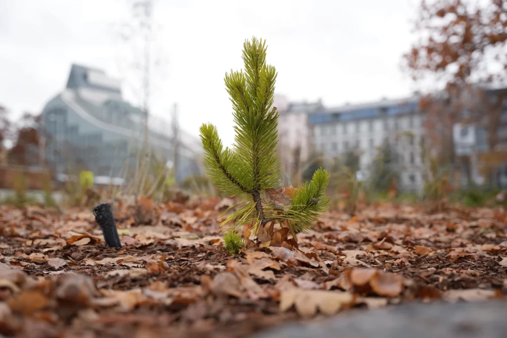 Mūkusalas ielas krasta promenāde (Mūkusalas iela) - Bike path, Waterside - construction photos