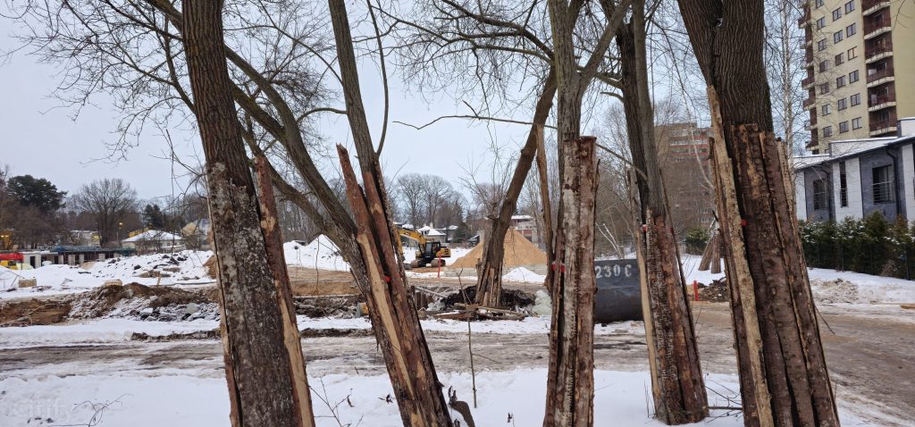 Sudrabu Edžus sākumskola (Sudrabu Edžus iela 2) - Kool - ehituse fotod