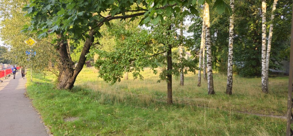 PRO BRO Dzirciema iela 44 (Dzirciema iela 44) - Other commercial - construction photos