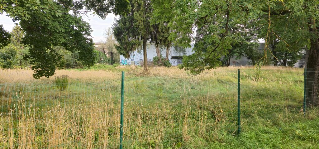 PRO BRO Dzirciema iela 44 (Dzirciema iela 44) - Other commercial - construction photos