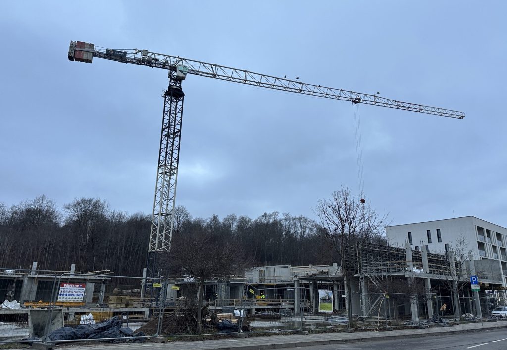 Ozų ozas (Vito Gerulaičio g. 4) - Co-living, Multi apartment - construction photos