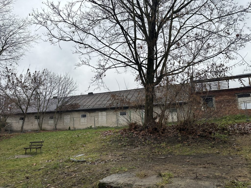 CITUS Tyzenhauz (Tyzenhauzų g. 17) - Multi apartment - construction photos