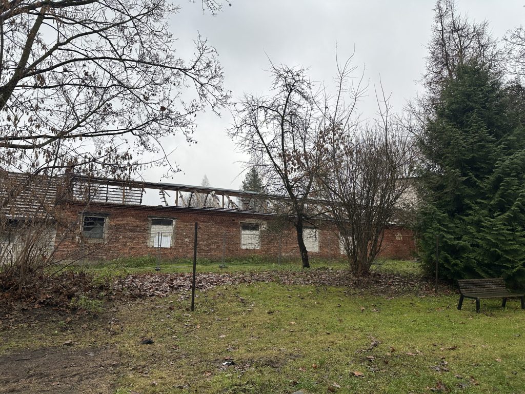 CITUS Tyzenhauz (Tyzenhauzų g. 17) - Multi apartment - construction photos