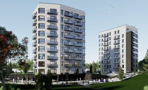 DU PUŠYNAI visuaalne