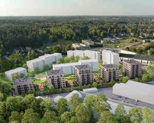 Miško sprintas 1 etapas visualization