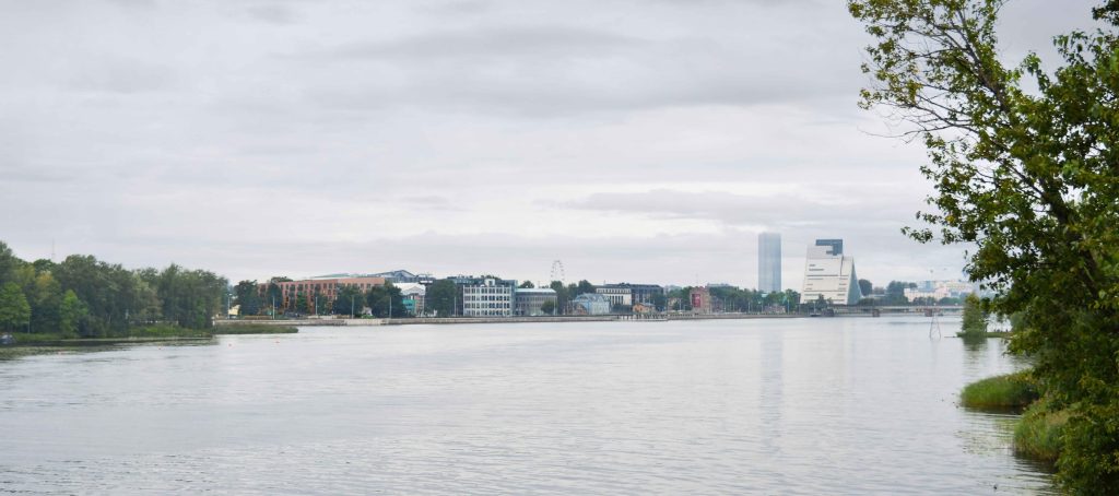 Mūkusalas iela 43 (Mūkusalas iela 43) - Multi apartment - visualization