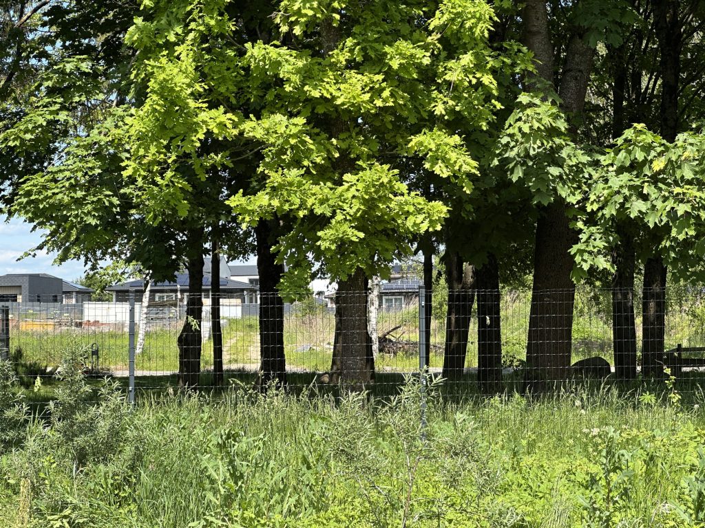 Bernotų g. (Bernotų g.) - Street - construction photos