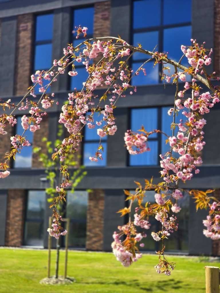 Danės Krantas 1 etapas (A, B) (Senvagės g. 3) - Multi apartment - construction photos