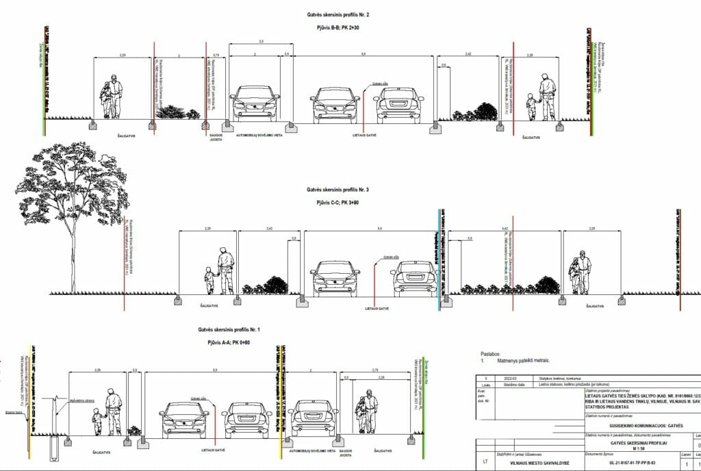 Lietaus gatvės atkarpa (Lietaus g.) - Street - visualization