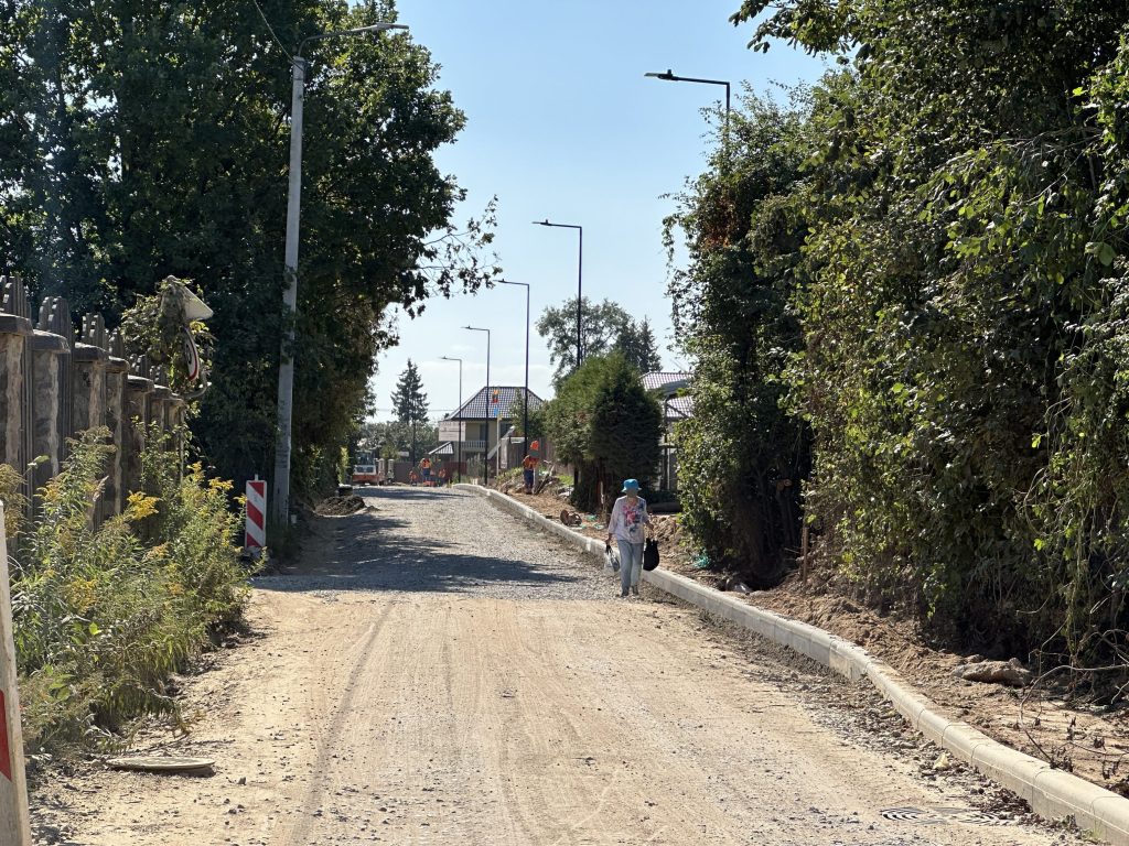 Kelmijos Sodų g. 33-ioji g. (Kelmijos Sodų g. 33-ioji g.) - Street - construction photos