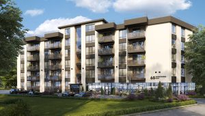 Purvciema iela 65 (Purvciema iela 65) - Multi apartment
