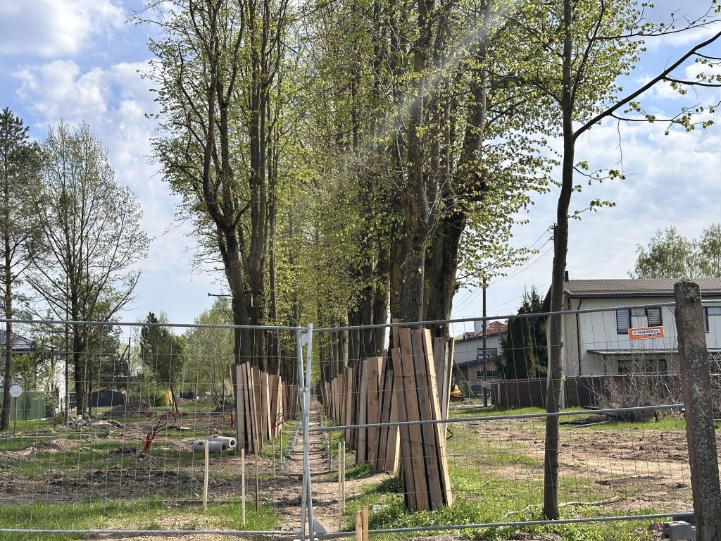 Liepų alėja tarp Vyčio Kryžiaus gatvės ir Garliavos plento (Vyčio Kryžiaus g.,Garliavos pl.) - Park - ehituse fotod