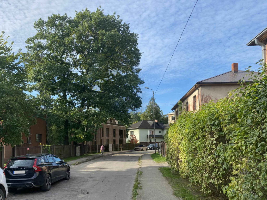 Domesnes rezidence (Kolkasraga iela 12) - Multi apartment - visualization