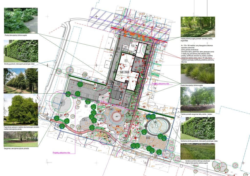 Pavilnio bendruomenės daugiafunkcis centras (Garsioji g. 3) - Cultural center, Library - visualization