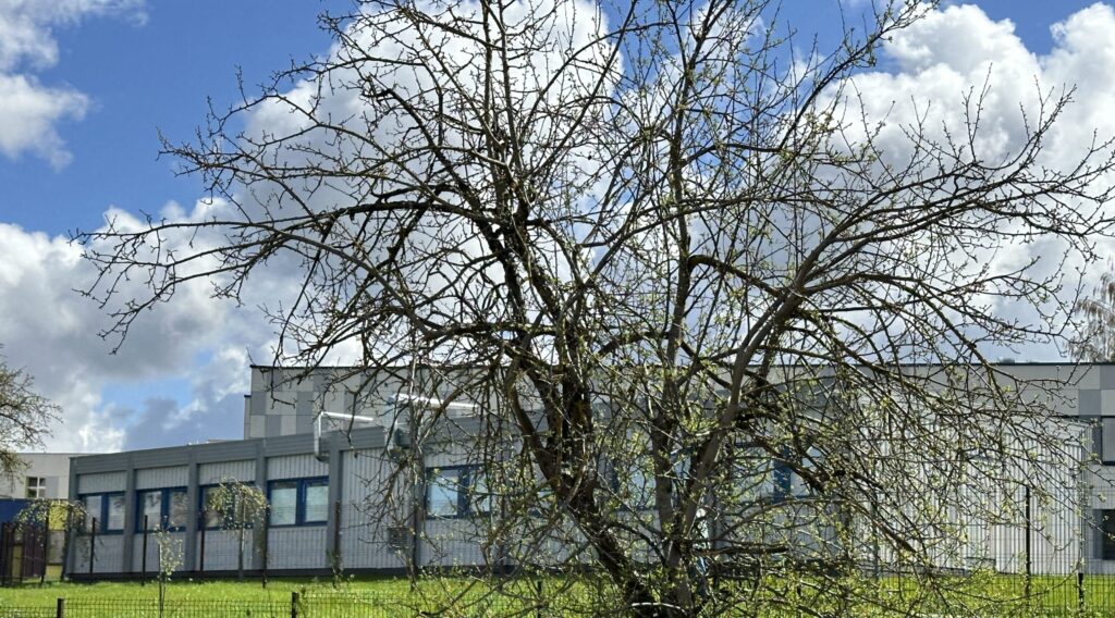 Laikinieji darželiai Beržų g. 2A (Beržų g. 2A, Riešės k., Avižienių sen.) - Early education - construction photos