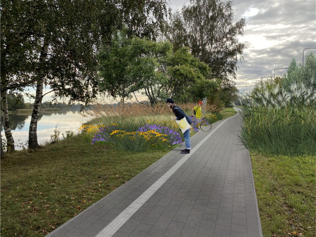 Velosipēdu ceļš Rīga - Ķekava (Mūkusalas iela, Ziepniekkalna iela) - Bike path - visualization