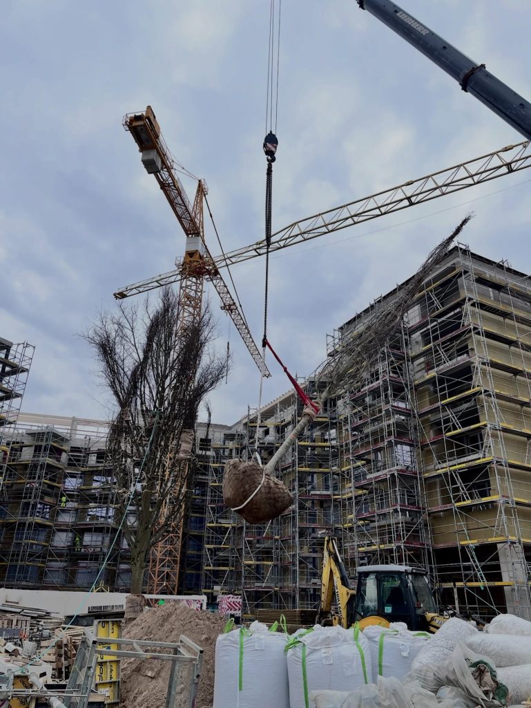 Tērbatas dārzs - 1. kārta - Tērbatas iela 78A (Tērbatas iela 78A) - Multi apartment - construction photos