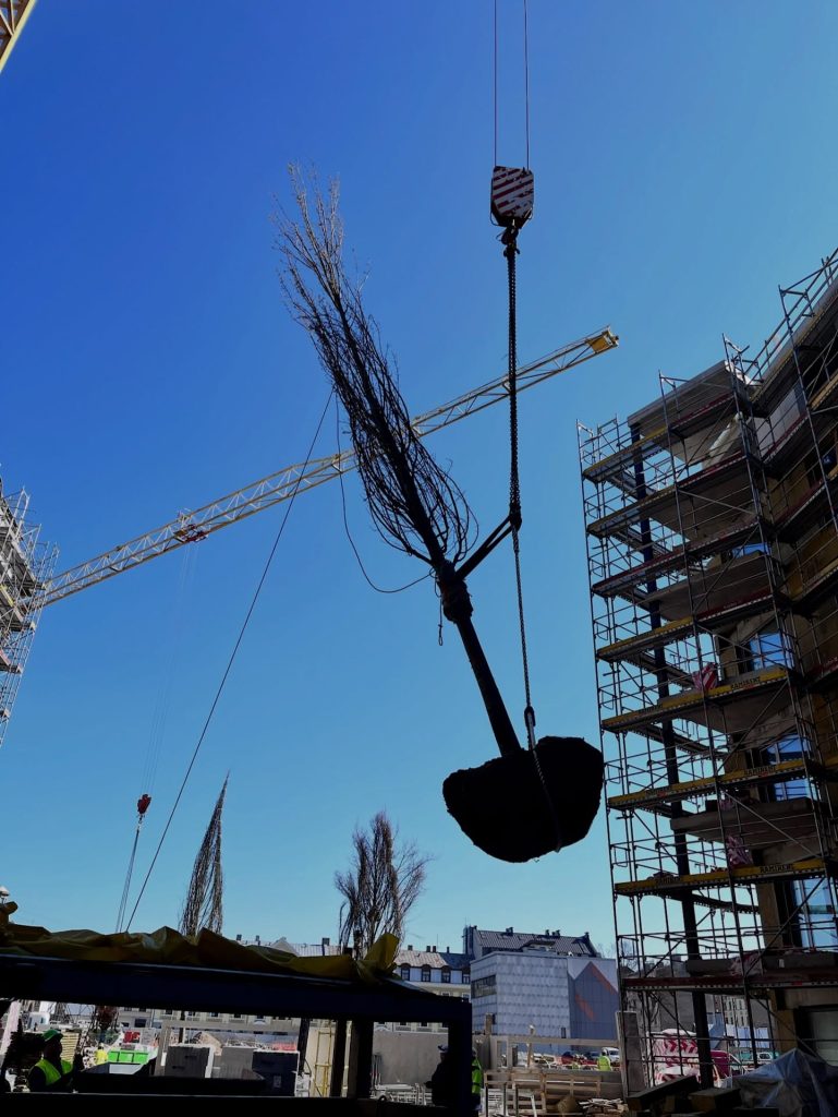 Tērbatas dārzs - 1. kārta - Tērbatas iela 78A (Tērbatas iela 78A) - Multi apartment - construction photos