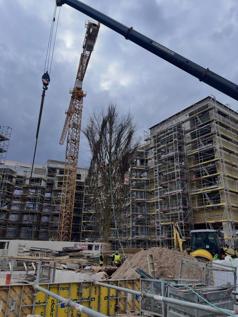 Tērbatas dārzs - 1. kārta - Tērbatas iela 78A (Tērbatas iela 78A) - Multi apartment - construction photos