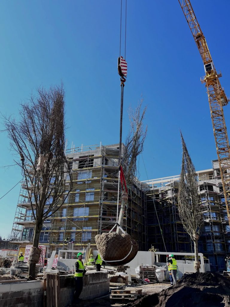 Tērbatas dārzs - 1. kārta - Tērbatas iela 78A (Tērbatas iela 78A) - Multi apartment - construction photos