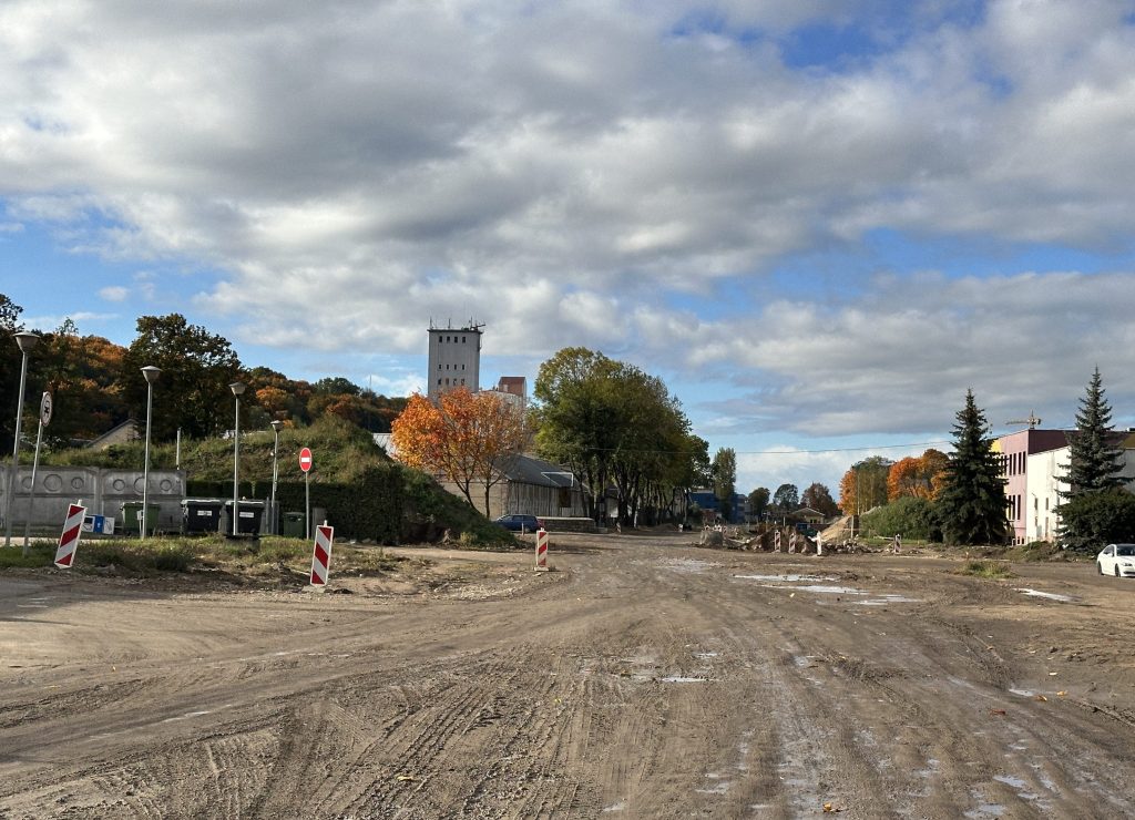 H. ir O. Minkovskių gatvė (H. ir O. Minkovskių g.) - Bike path, Street - construction photos