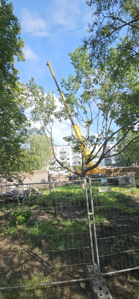 Nīcgales mājas (Nīcgales iela 17A) - Multi apartment - construction photos