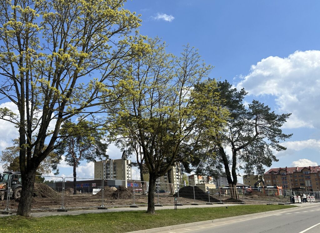 Grigiškių šv. Dvasios bažnyčios teritorija (Kovo 11-osios g.) - Väljak - ehituse fotod