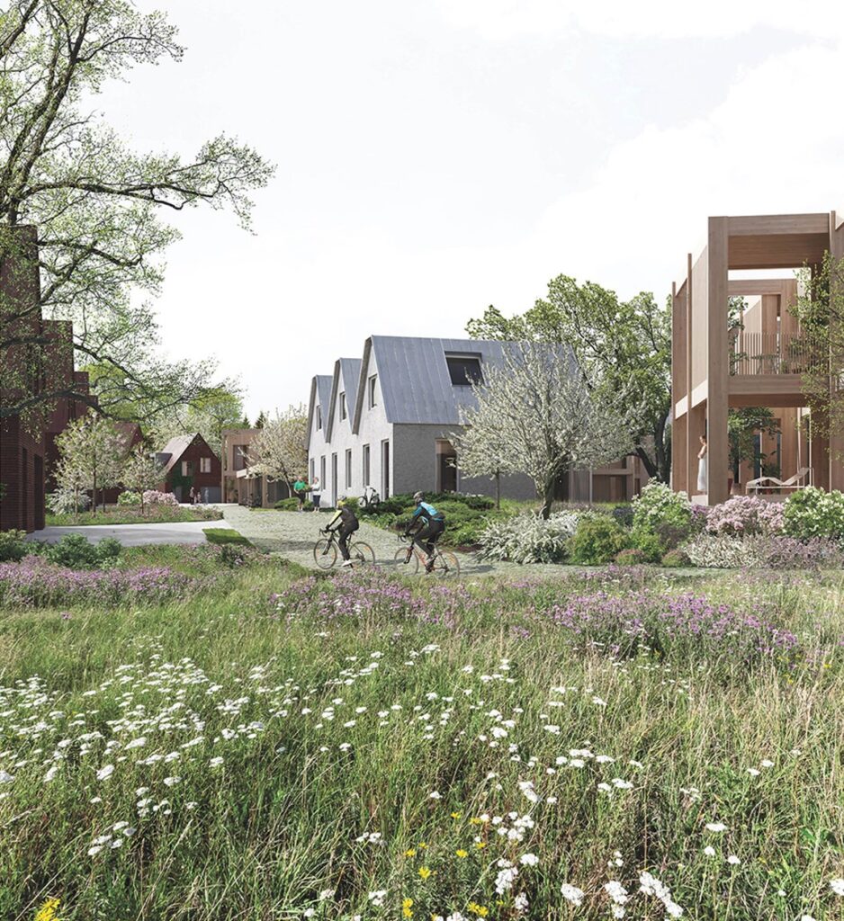 Launagiai 2 rajonas (Petro Joniko g., Žadiškių g., Dieveniškių g.) - Multi apartment, Private house community, Row housing - visualization