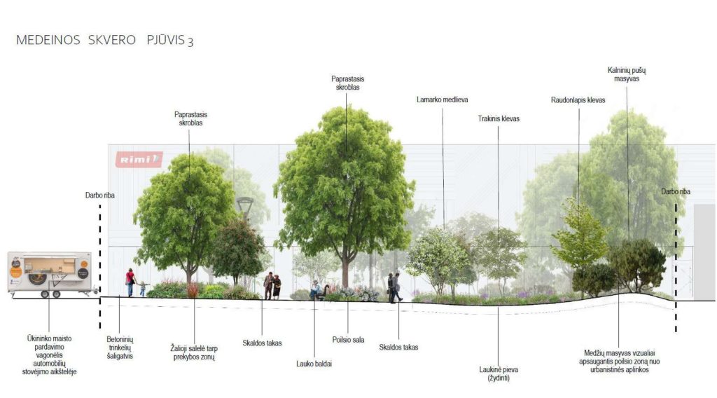 Viešoji erdvė ties Medeinos g. 8 (Medeinos g. 8) - Skveras - vizualizacija