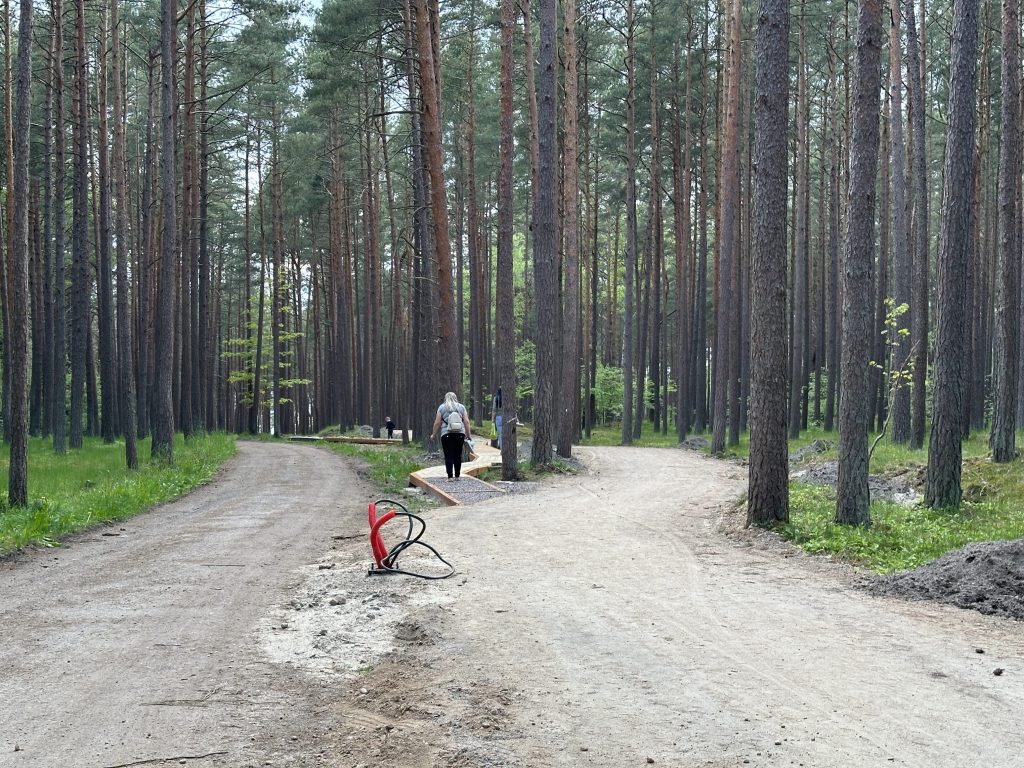 Melno takas (Vytauto g. 4) - Park, Pedestrian path - construction photos