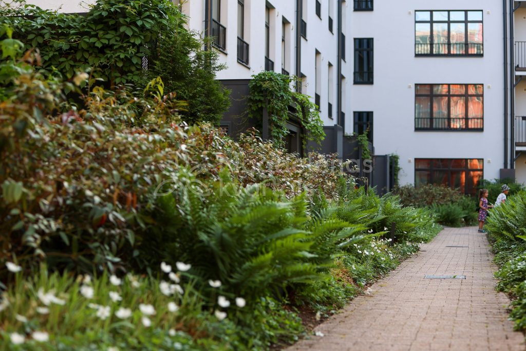 Magdelēnas kvartāls 1. kārta - Antonijas 17A (Antonijas 17A) - Korterelamu - visuaalne