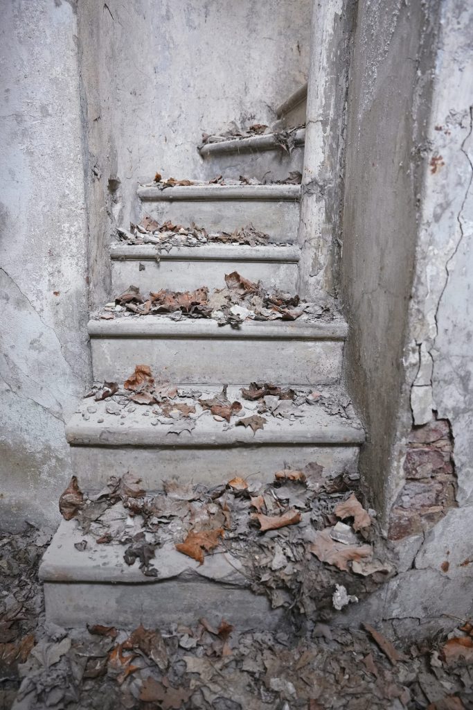 Lielo kapu vērtību saglabāšana un teritorijas infrastruktūras attīstība (Klusā iela 2) - Matuseteenused, Park - ehituse fotod