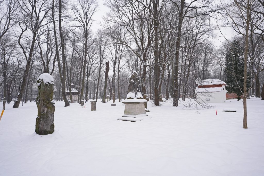 Lielo kapu vērtību saglabāšana un teritorijas infrastruktūras attīstība (Klusā iela 2) - Matuseteenused, Park - ehituse fotod