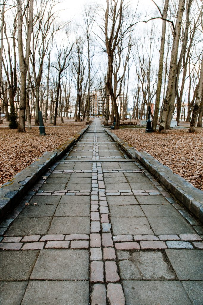 Lielo kapu vērtību saglabāšana un teritorijas infrastruktūras attīstība (Klusā iela 2) - Matuseteenused, Park - ehituse fotod