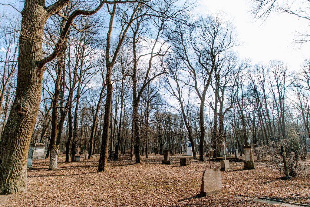 Lielo kapu vērtību saglabāšana un teritorijas infrastruktūras attīstība (Klusā iela 2) - Matuseteenused, Park - ehituse fotod