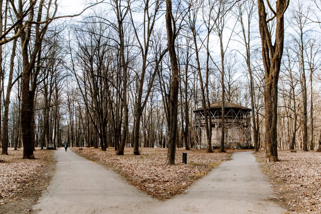 Lielo kapu vērtību saglabāšana un teritorijas infrastruktūras attīstība (Klusā iela 2) - Matuseteenused, Park - ehituse fotod