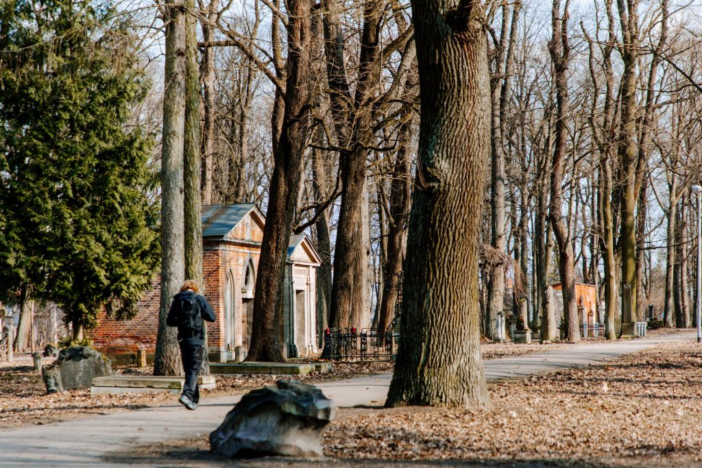 Lielo kapu vērtību saglabāšana un teritorijas infrastruktūras attīstība (Klusā iela 2) - Matuseteenused, Park - ehituse fotod