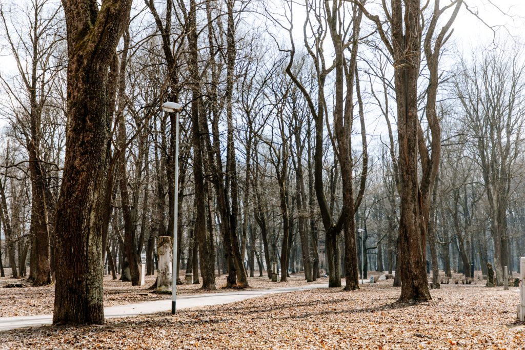 Lielo kapu vērtību saglabāšana un teritorijas infrastruktūras attīstība (Klusā iela 2) - Matuseteenused, Park - ehituse fotod