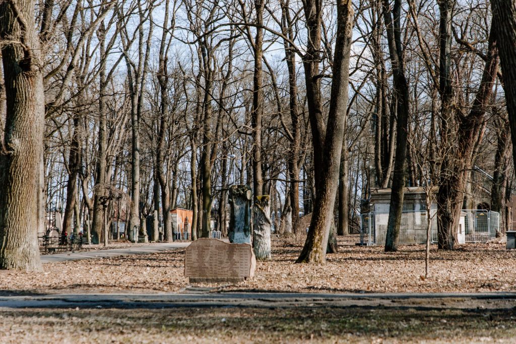 Lielo kapu vērtību saglabāšana un teritorijas infrastruktūras attīstība (Klusā iela 2) - Matuseteenused, Park - ehituse fotod