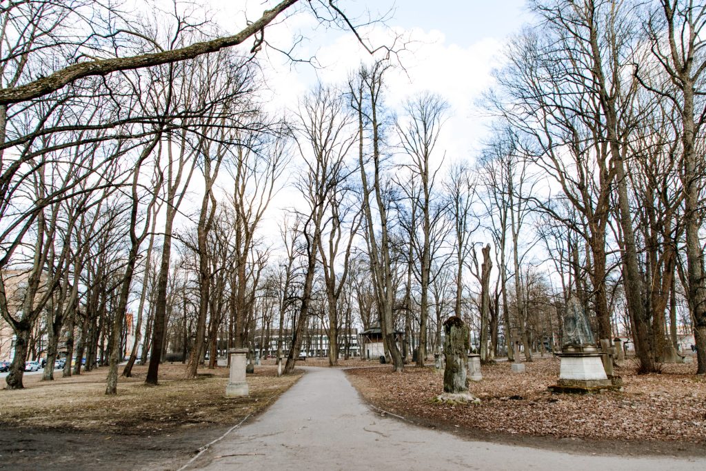 Lielo kapu vērtību saglabāšana un teritorijas infrastruktūras attīstība (Klusā iela 2) - Matuseteenused, Park - ehituse fotod