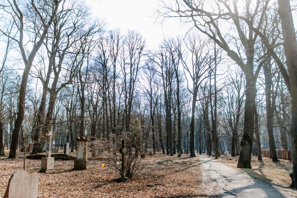 Lielo kapu vērtību saglabāšana un teritorijas infrastruktūras attīstība (Klusā iela 2) - Matuseteenused, Park - ehituse fotod